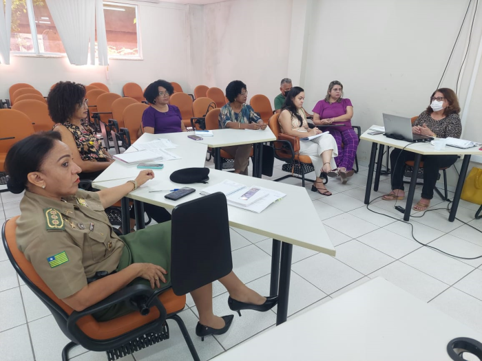 Secretarias discutem integração de protocolo de atendimento às vítimas de violência sexual no estado
