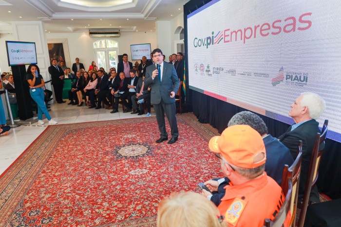 Novo portal GOV.PI Empresas reúne serviços de vários órgãos