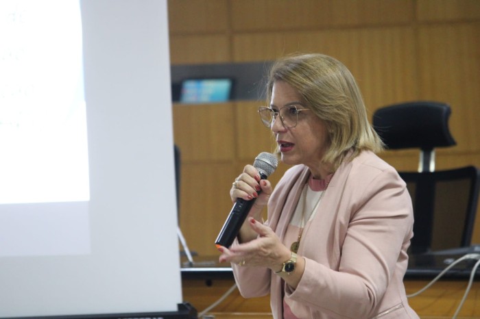 Sejus realiza encontro com integrantes do Conselho Penitenciário do Piauí