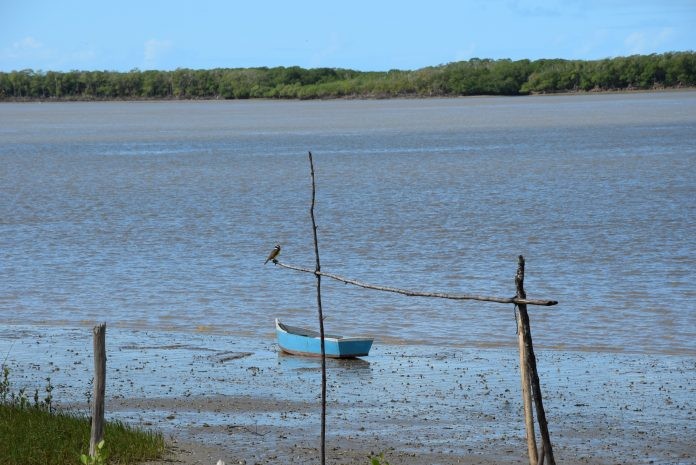 Oficina na APA Ponta da Baleia/Abrolhos impulsiona projeto pedagógico da Zona Costeira e Marinha
