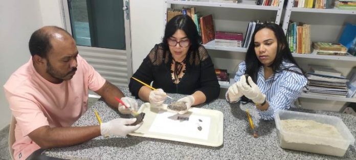 Arqueólogos de campus da Uneb descobrem pães mumificados datados da II Guerra Mundial