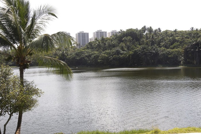 Parque Metropolitano de Pituaçu completa 50 anos
