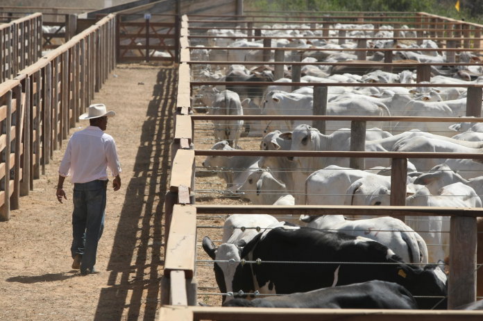 PIB do agronegócio totaliza R$ 32 bilhões no 2º trimestre de 2023, com participação de 28% na economia baiana